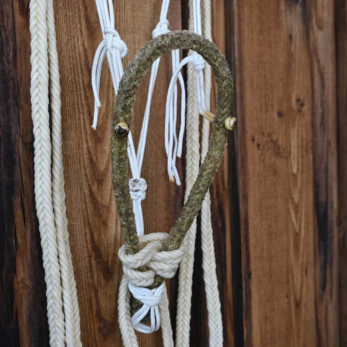 Loping Hackamore w/Nylon Browband