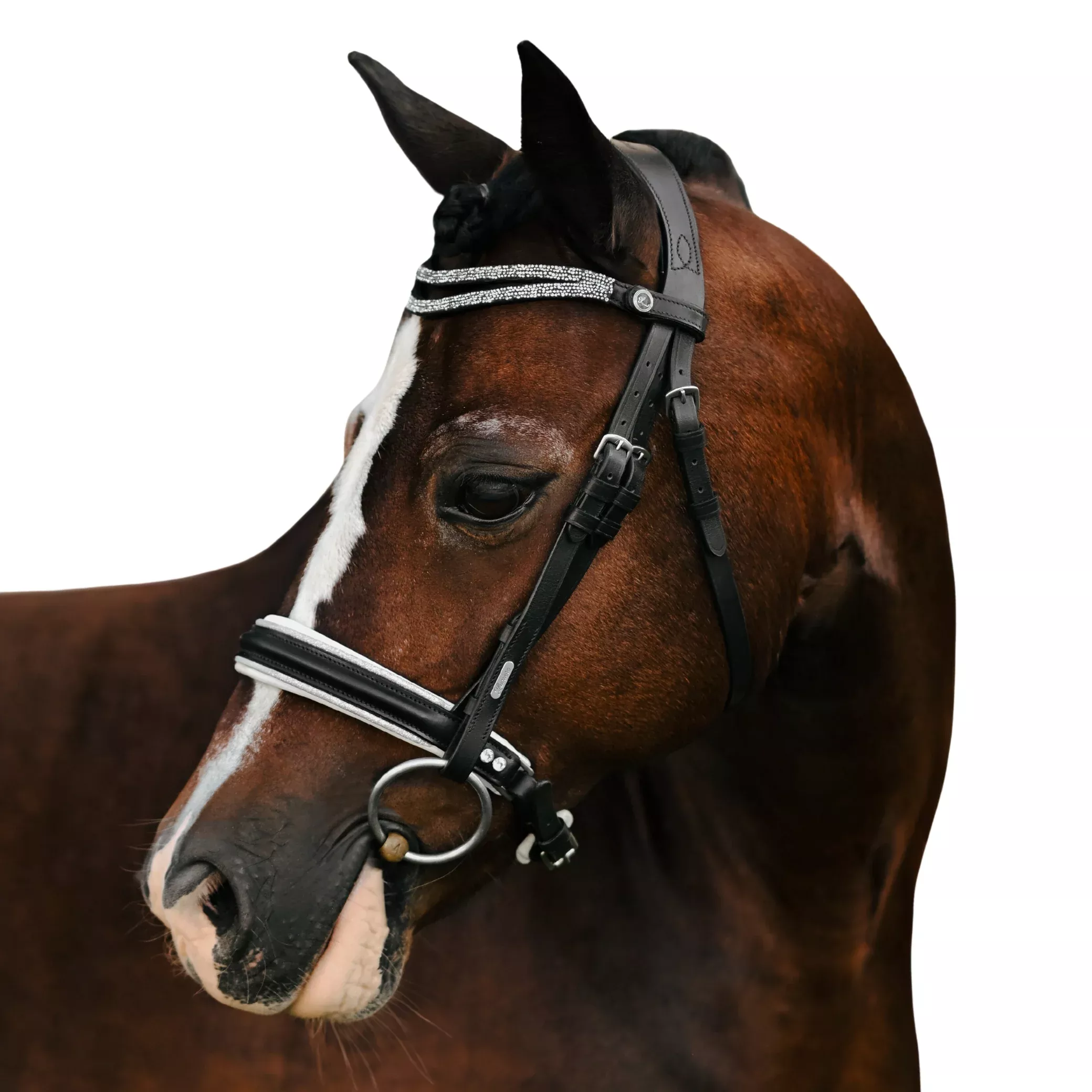 Lumi Pony Princess Bridle