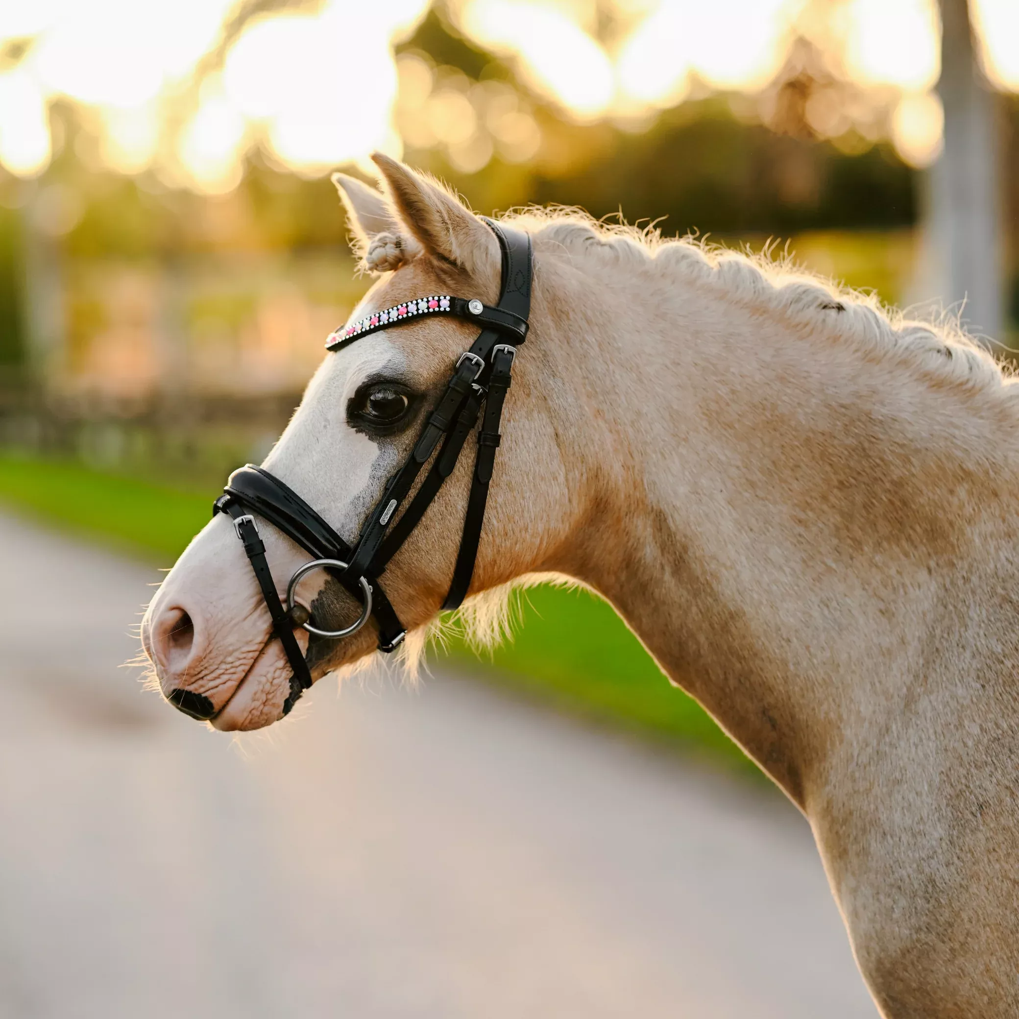 Lumi Pony Unicorn Bridle