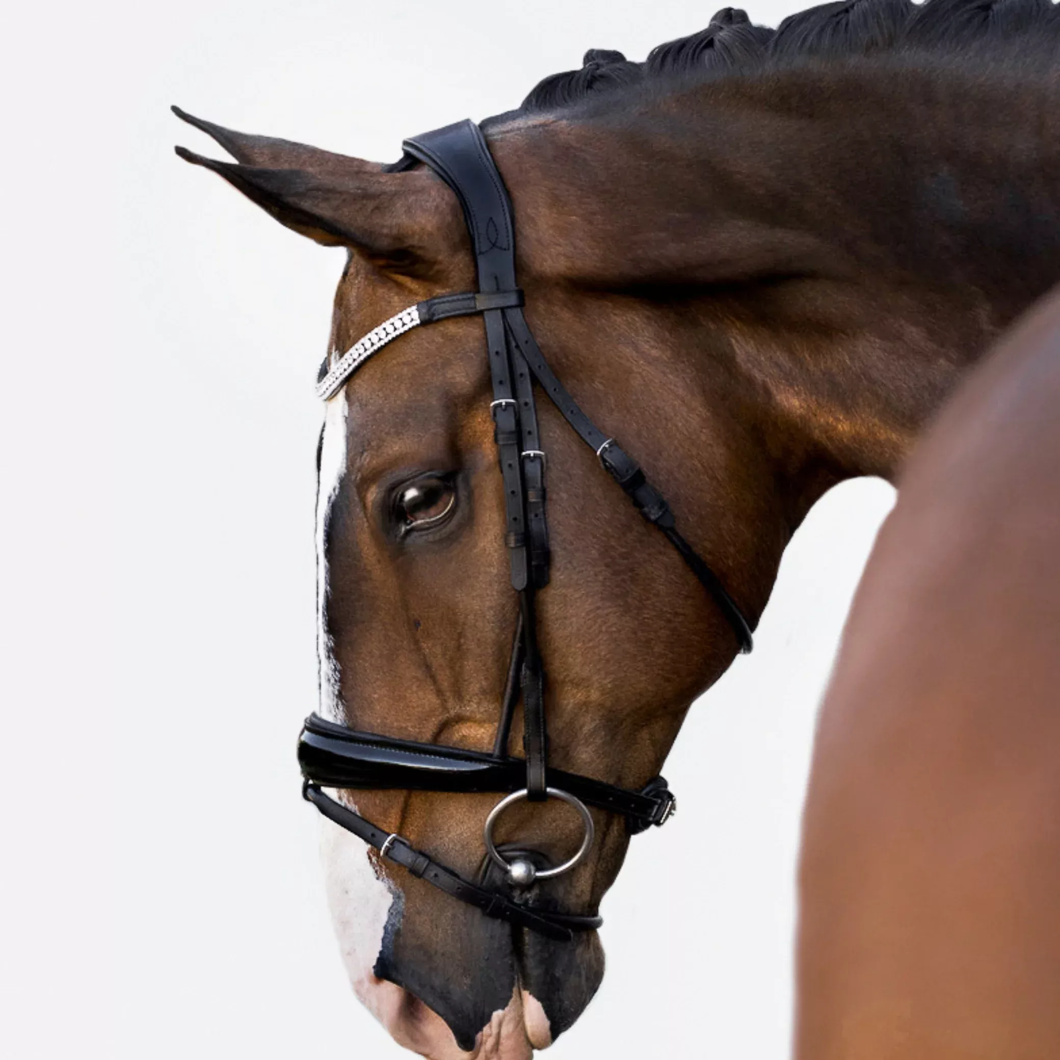 Lumiere Amie Hanoverian Rolled Leather Bridle