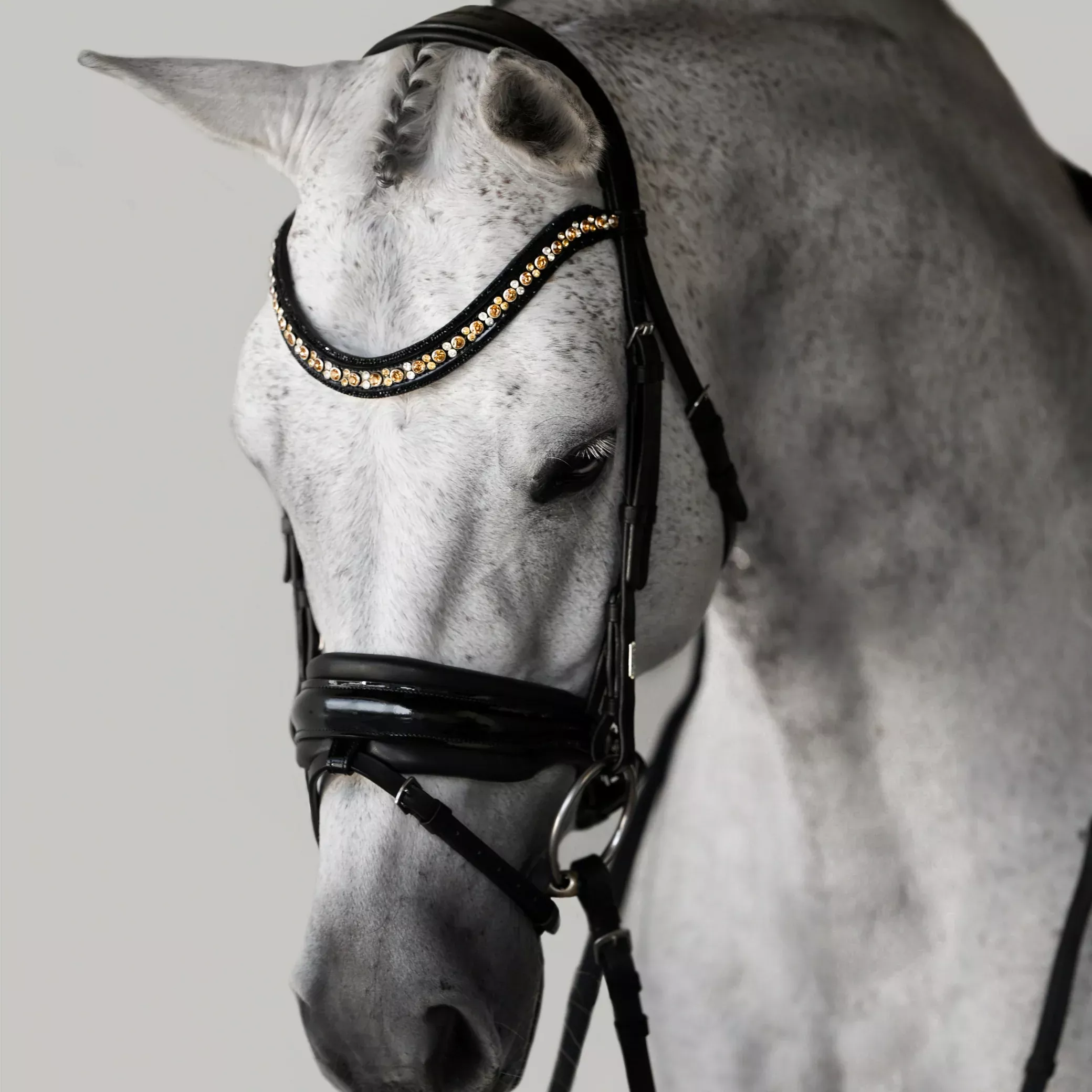 Lumiere Ariana Hanoverian Leather Bridle