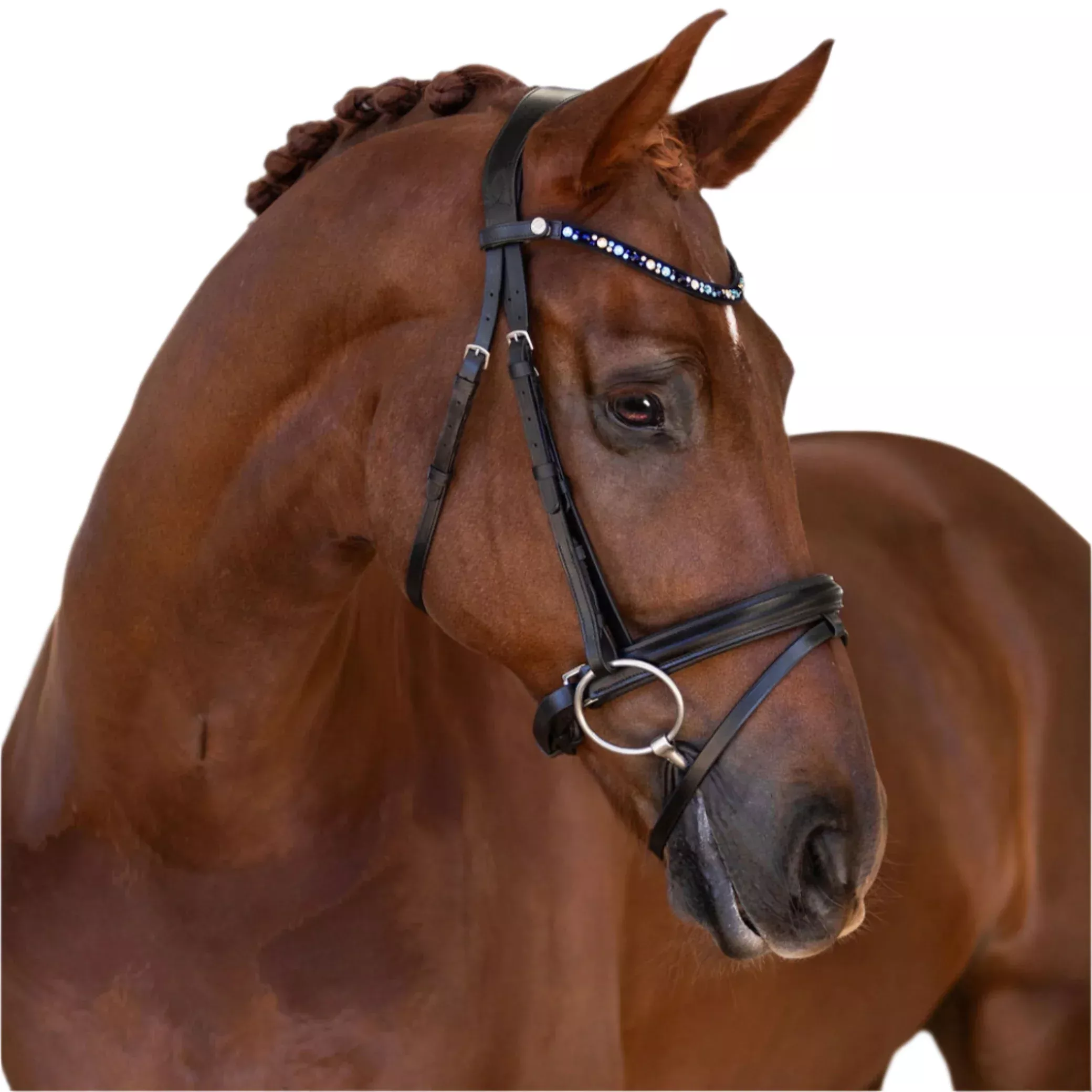 Lumiere Demi Hanoverian Bridle
