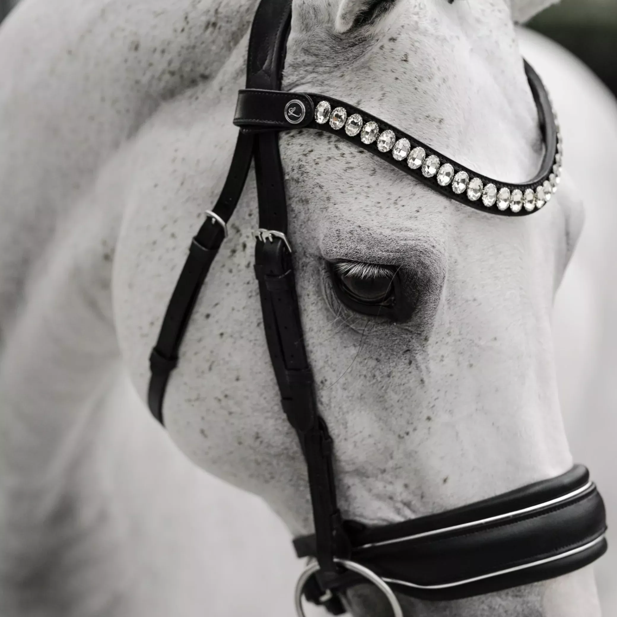 Lumiere Diva Cavesson Bridle