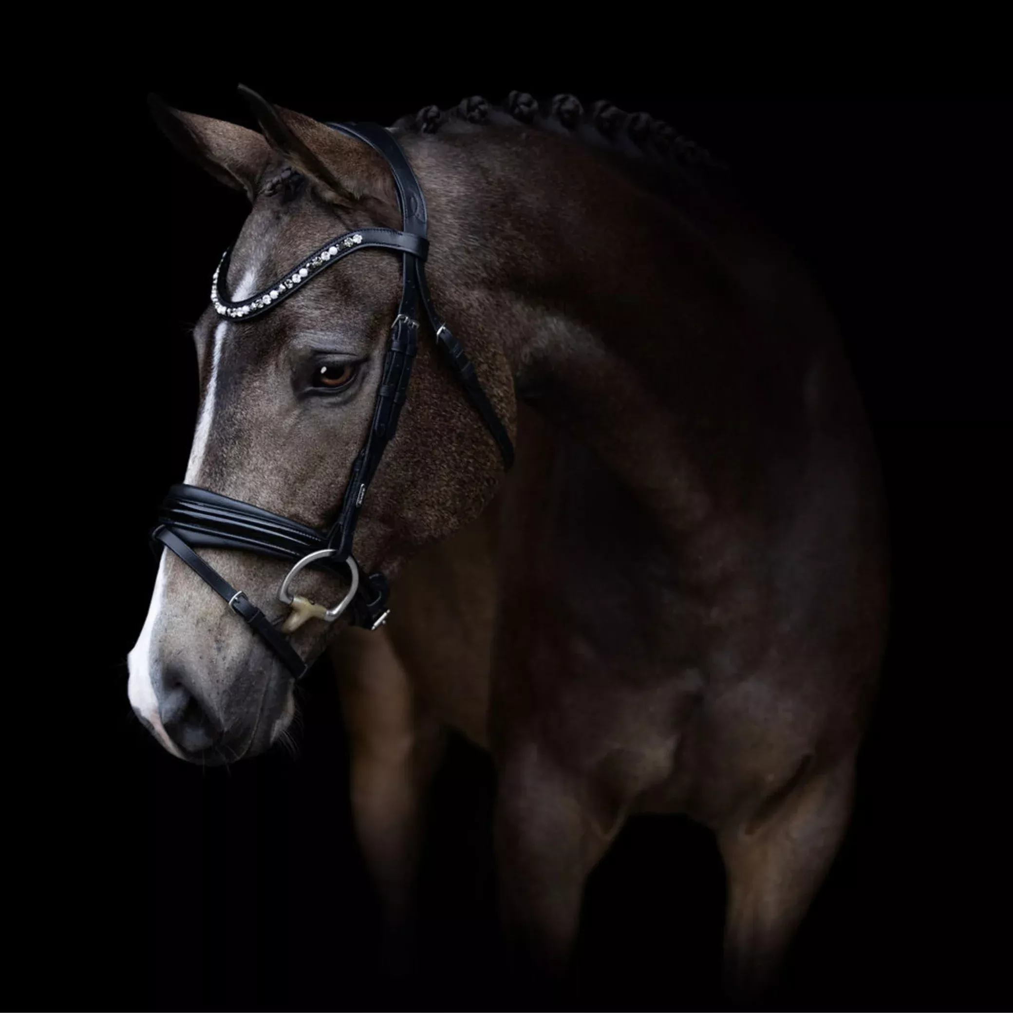 Lumiere Mercury Hanoverian Bridle