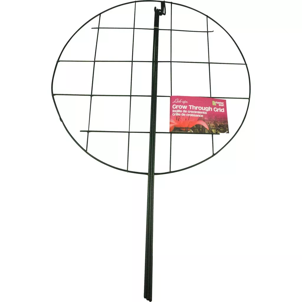 Luster Leaf Link-Ups Grow-Through Grid, 20 x 30 in, Green