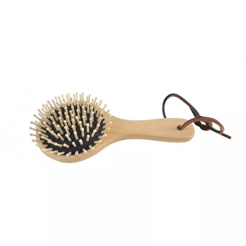 Mane Brush in Beech Tree