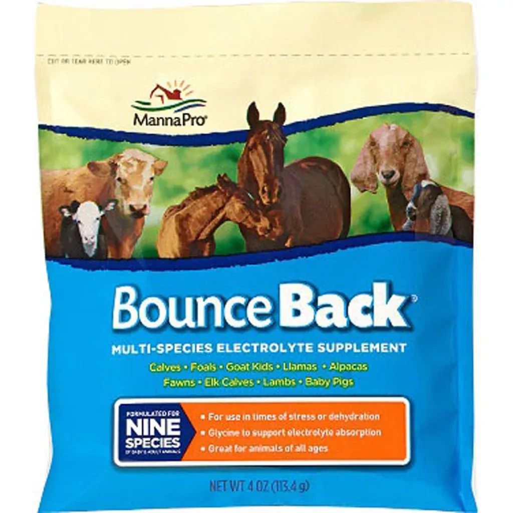 Manna Pro Bounce Back Multi-species Electrolyte Supplement, 4 OZ