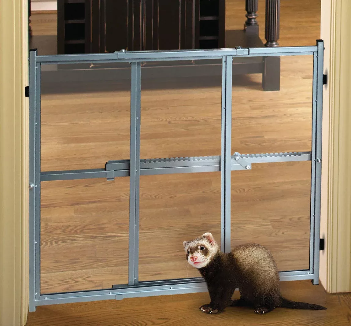 Marshall Ferret Better View Gate Gray 24-36x24 in