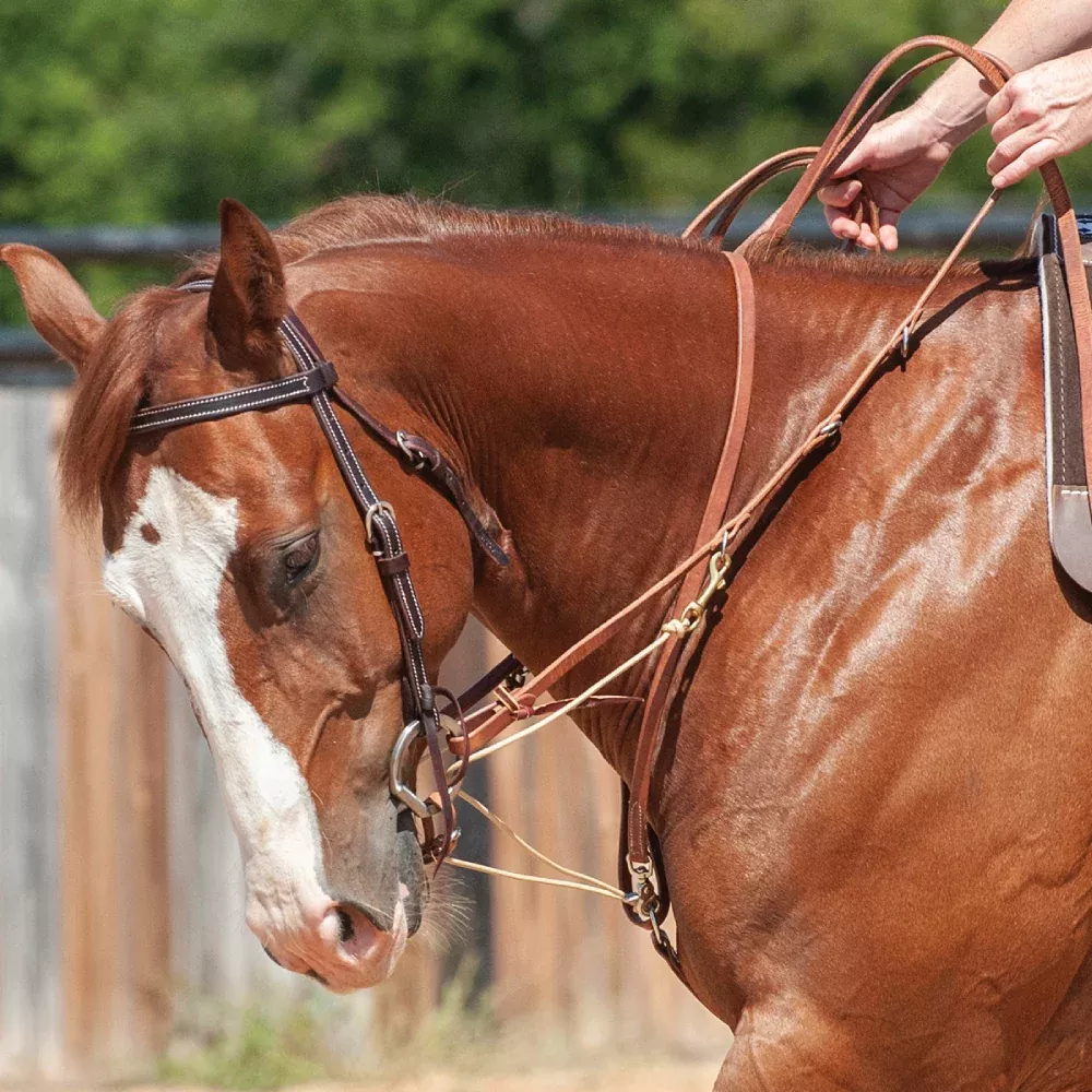 Martin Saddlery Phil Haugen Martingale