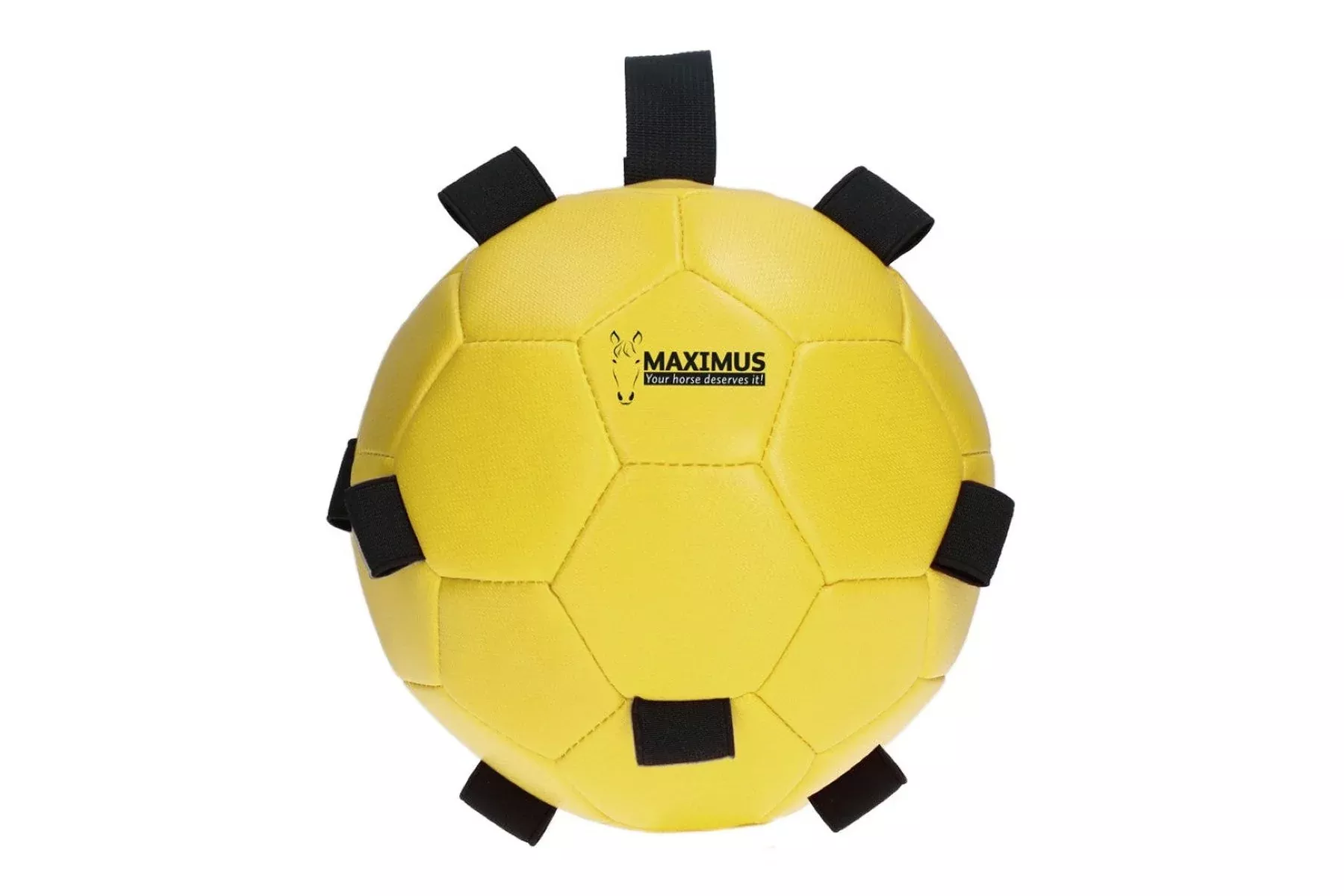 Maximus Fun Play Ball