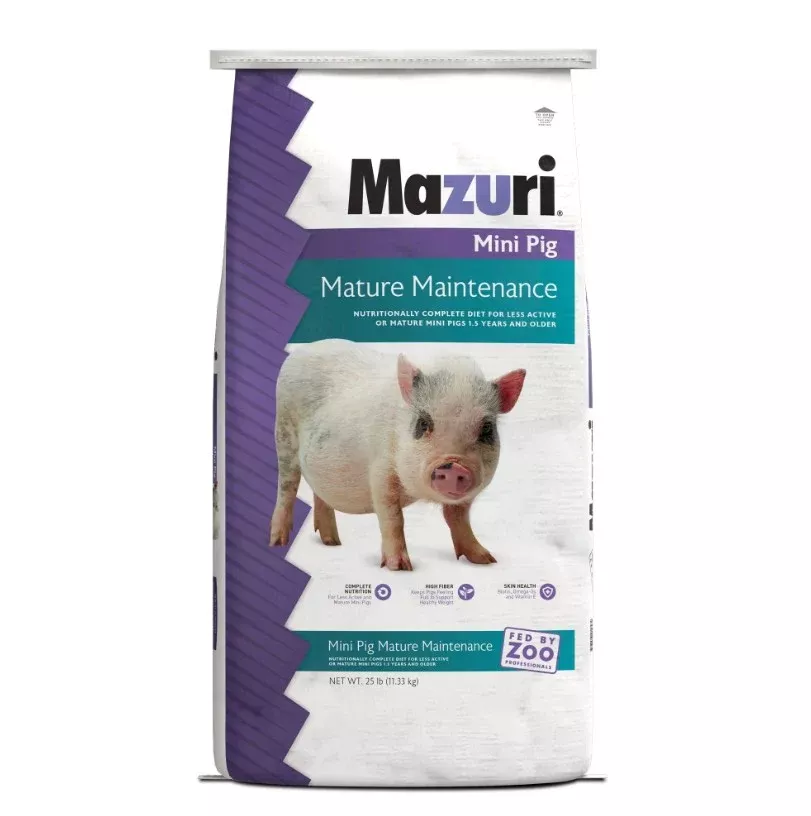 Mazuri Mini Pig Mature Maintenance Food, 25 lb
