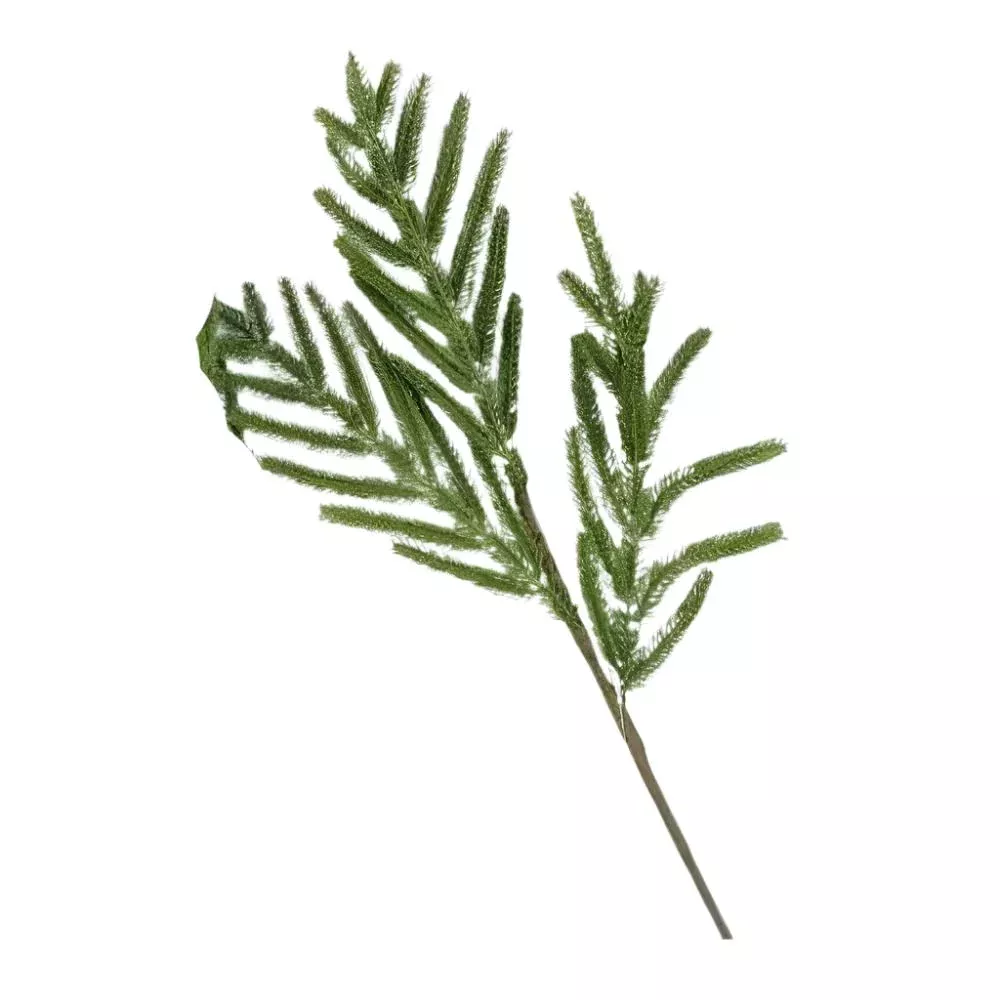 Medium Norfolk Pine Faux Stem