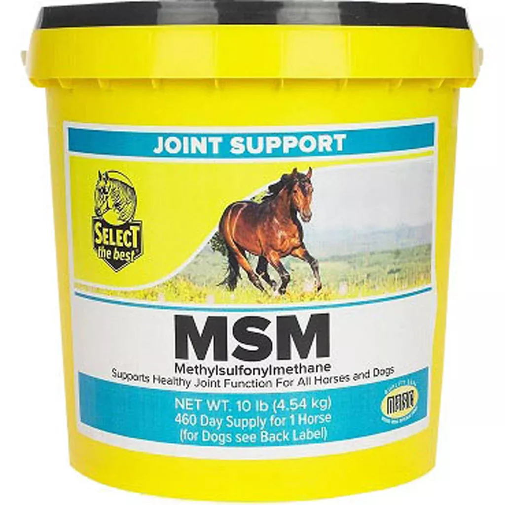 MSM Powder Joint Support Supplement 10 lb, 460-Day Supply