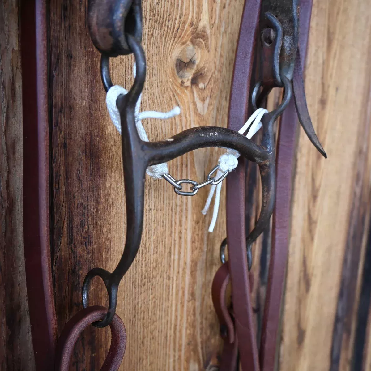 Mullen Bridle Rig