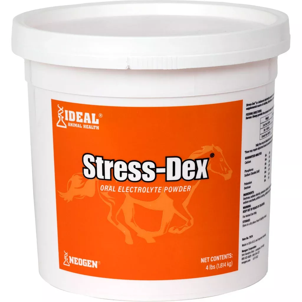 Neogen Squire Stress-Dex Oral Electrolyte for Horses, 4 lb