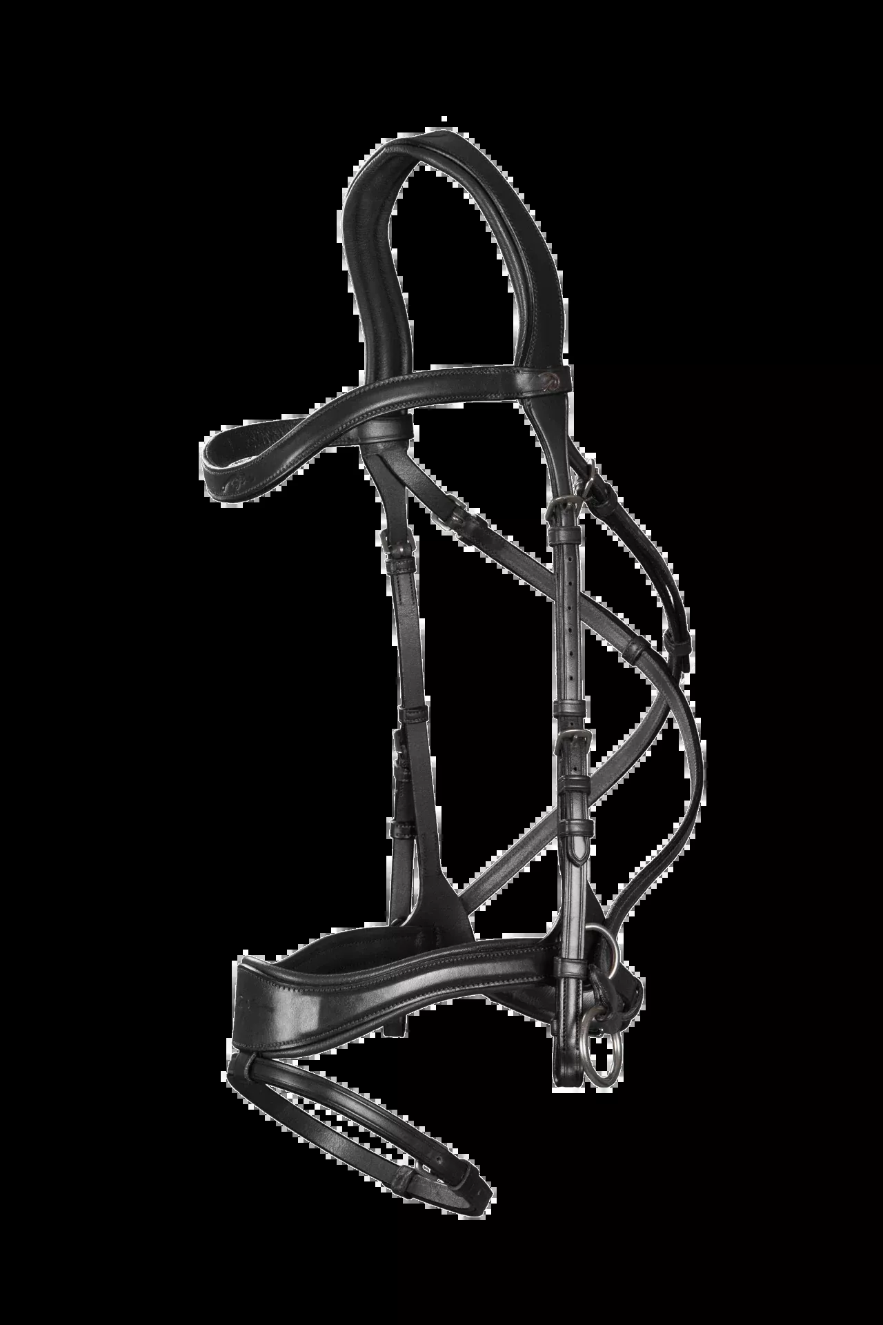 New English Collection D Motion Bridle