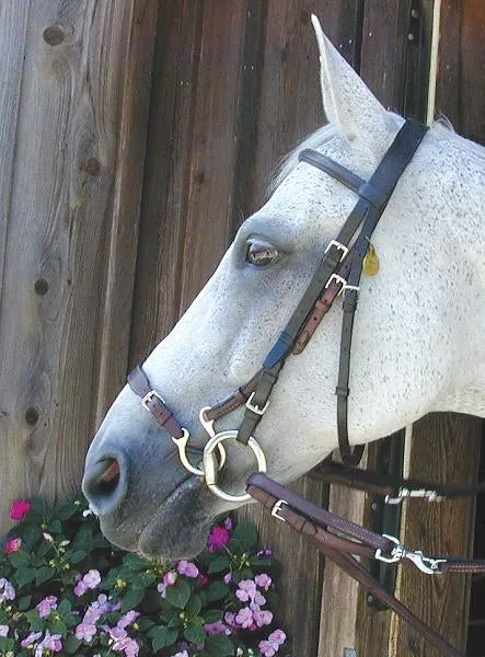 Nunn Finer Kineton Noseband