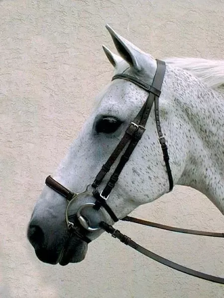 Nunn Finer Original Lever Noseband