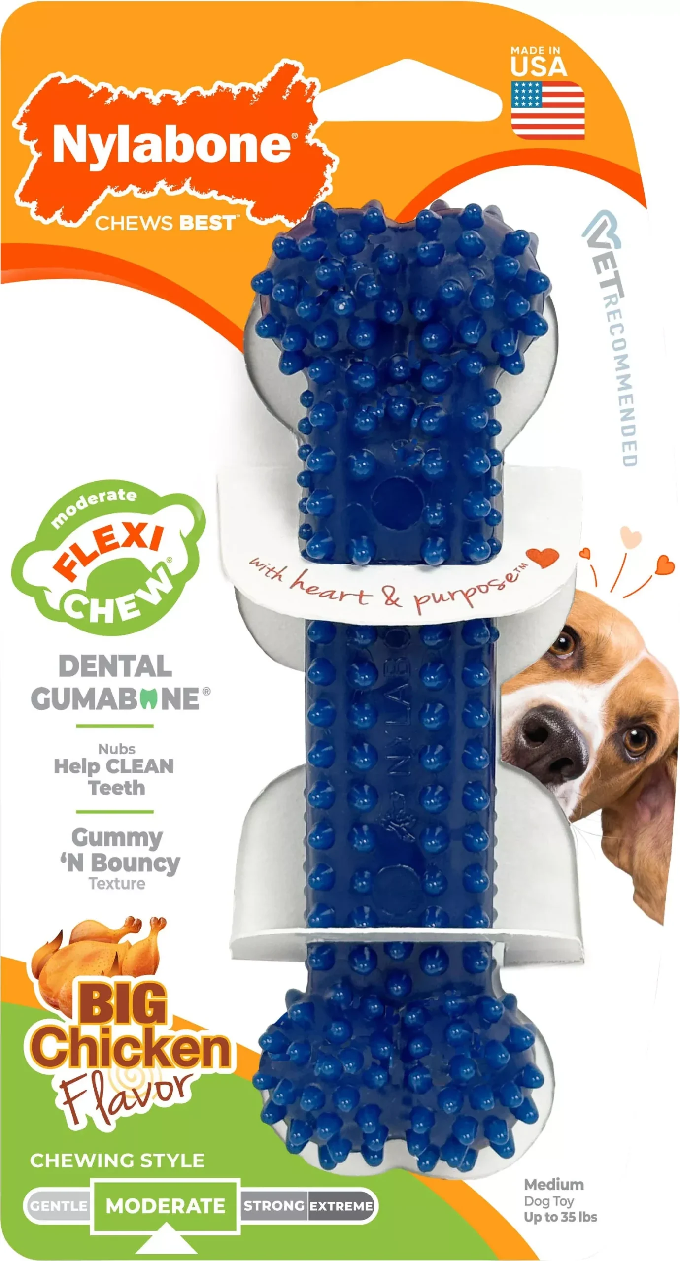 Nylabone Moderate Chew Dental Bone, Chicken, Medium