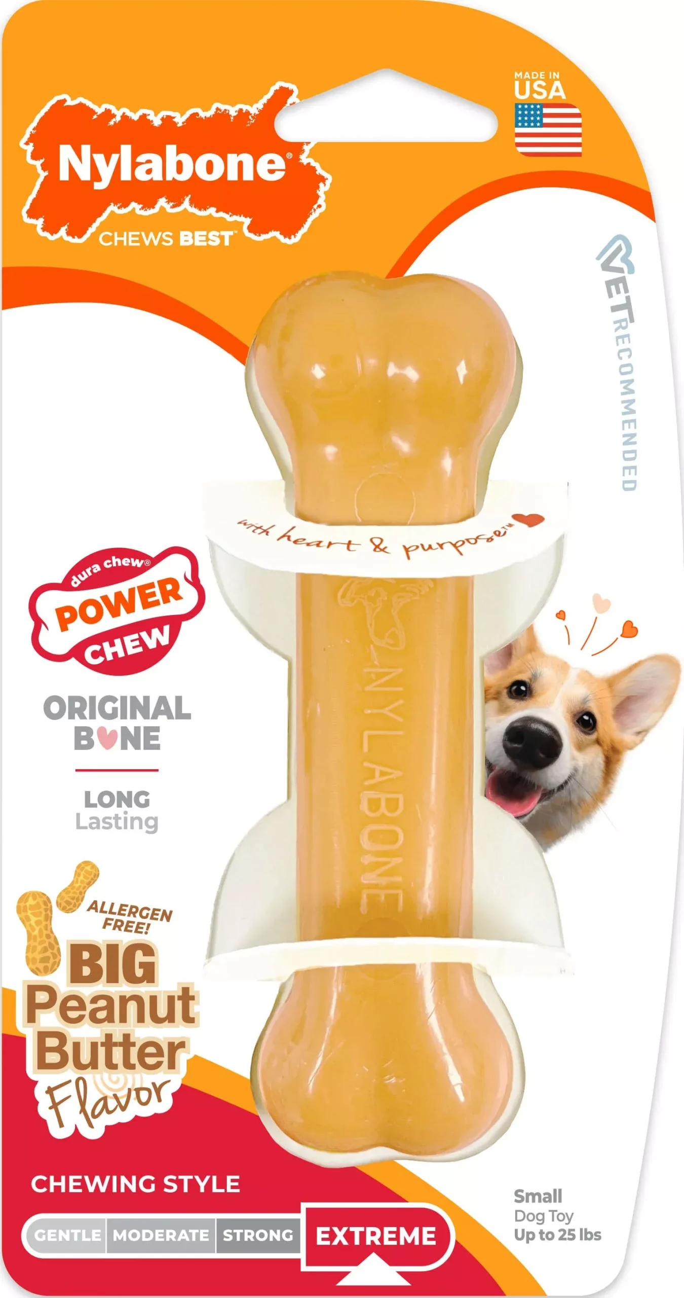 Nylabone Power Chew Bone, Bacon - Small