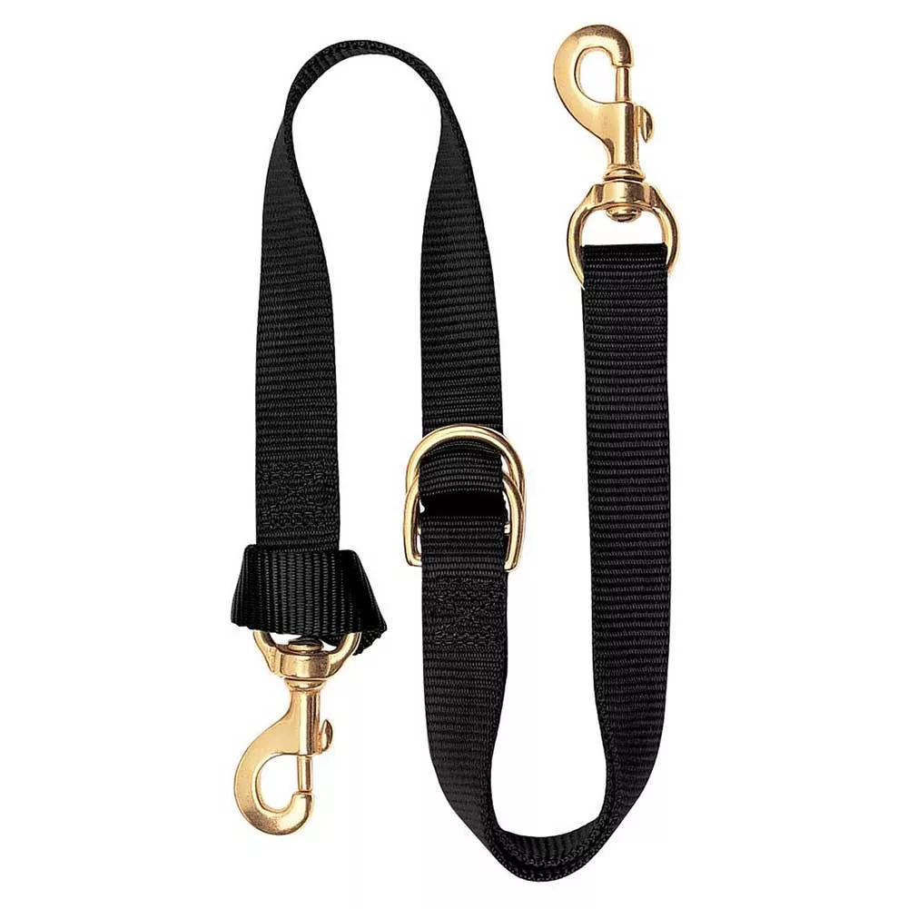 Nylon 1" Tie Down Strap