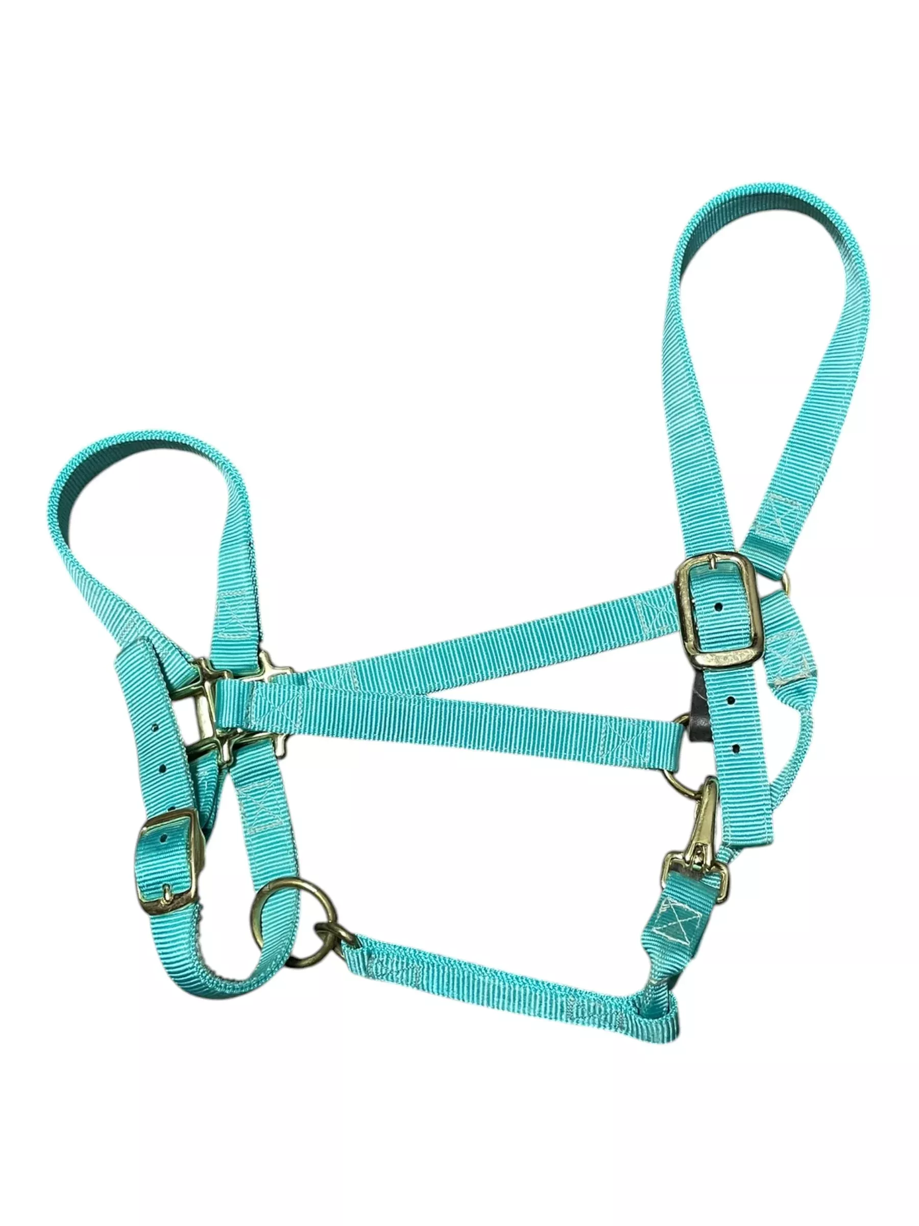 Nylon Halter - Blue - Est. O/S - USED