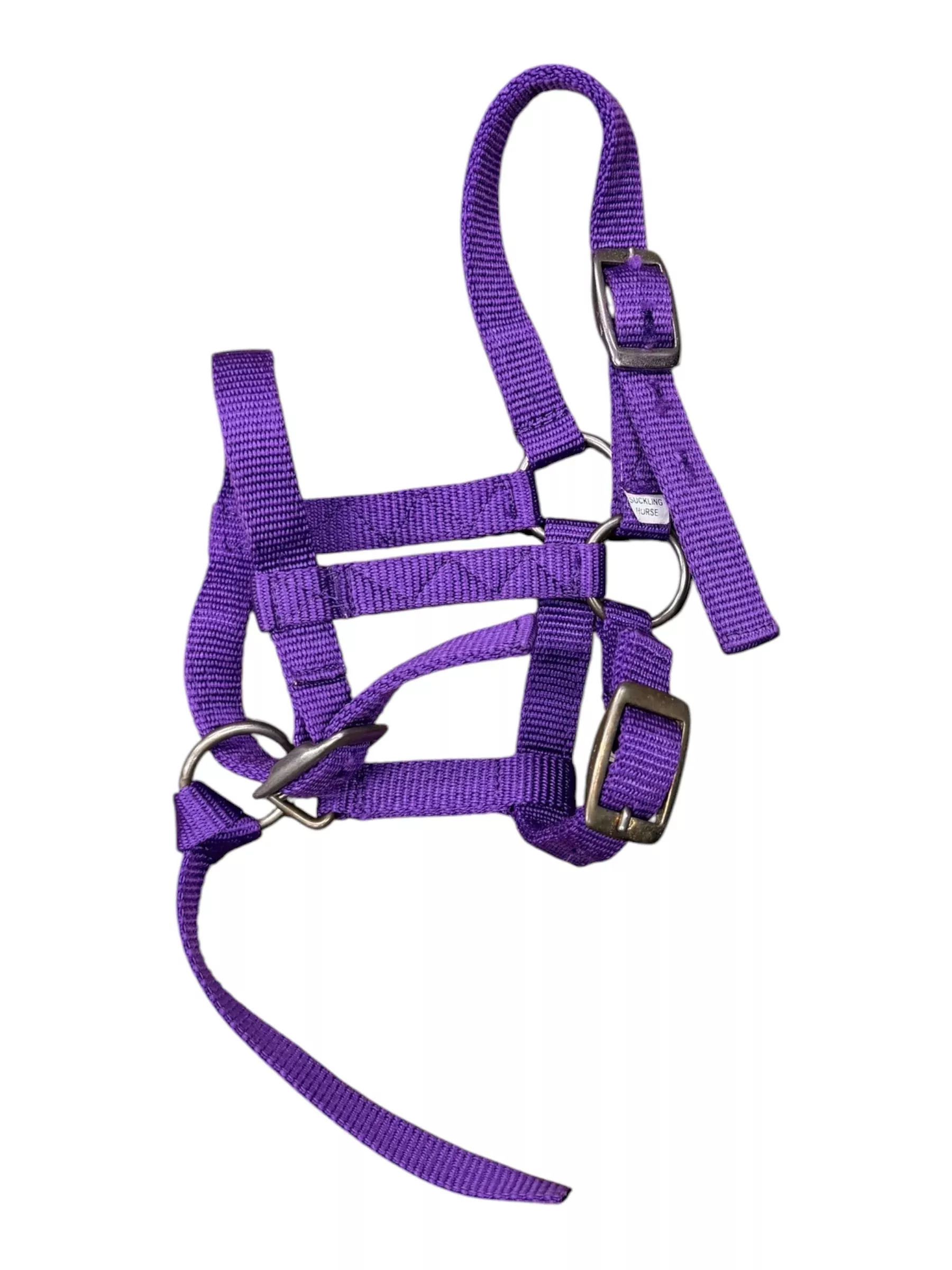 Nylon Halter - Purple - Suckling Horse - USED