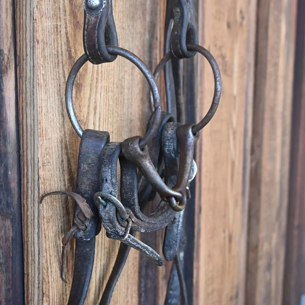 O-Ring Smooth Snaffle Bridle Rig w/Browband Headstall