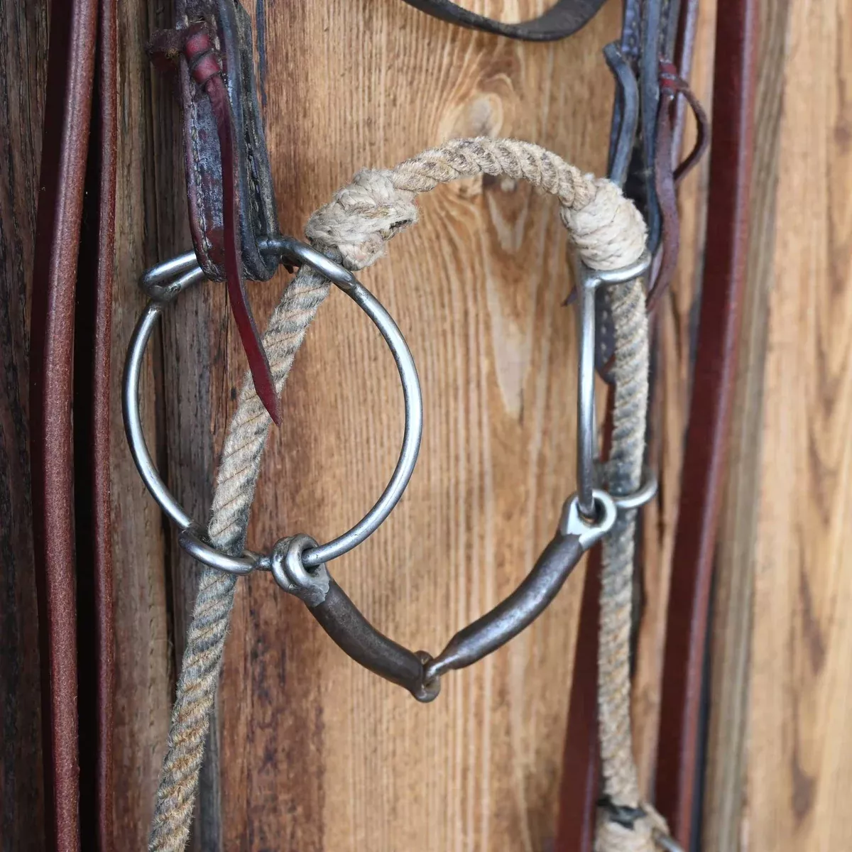 O-Ring Snaffle Combo Bridle Rig w/Browband Headstall