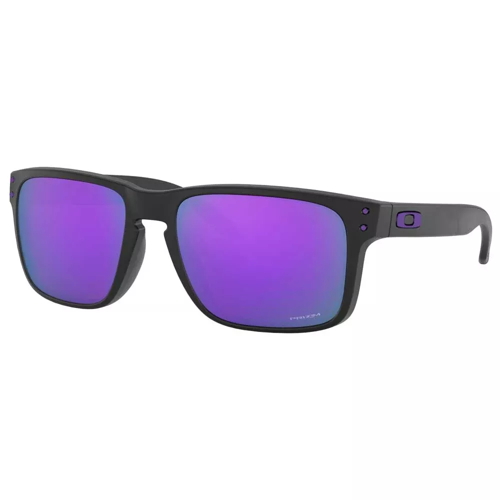 Oakley Holbrook Injected Sunglasses