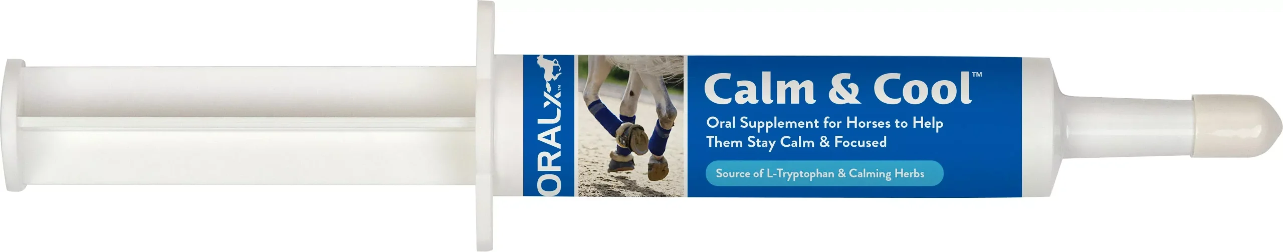 OralX Calm & Cool Oral Supplement Paste, 34 g