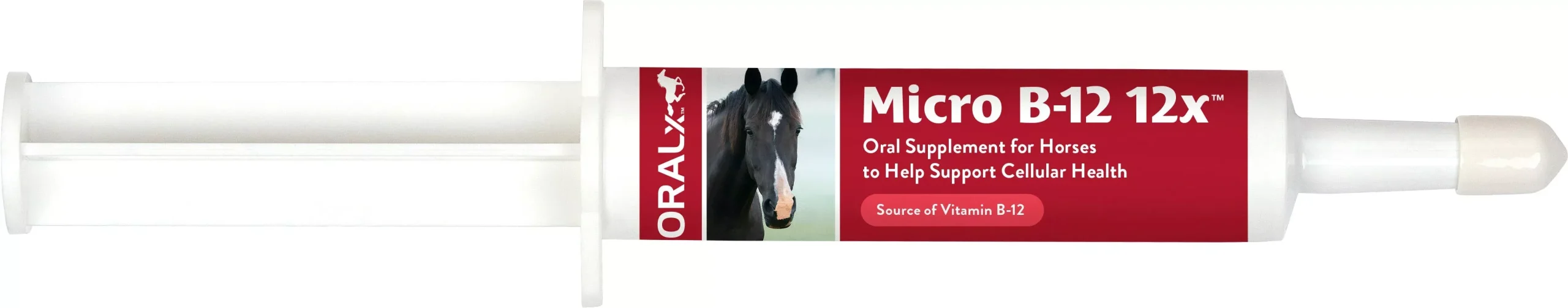 OralX Micro B-12 Vitamin Paste, 34 g