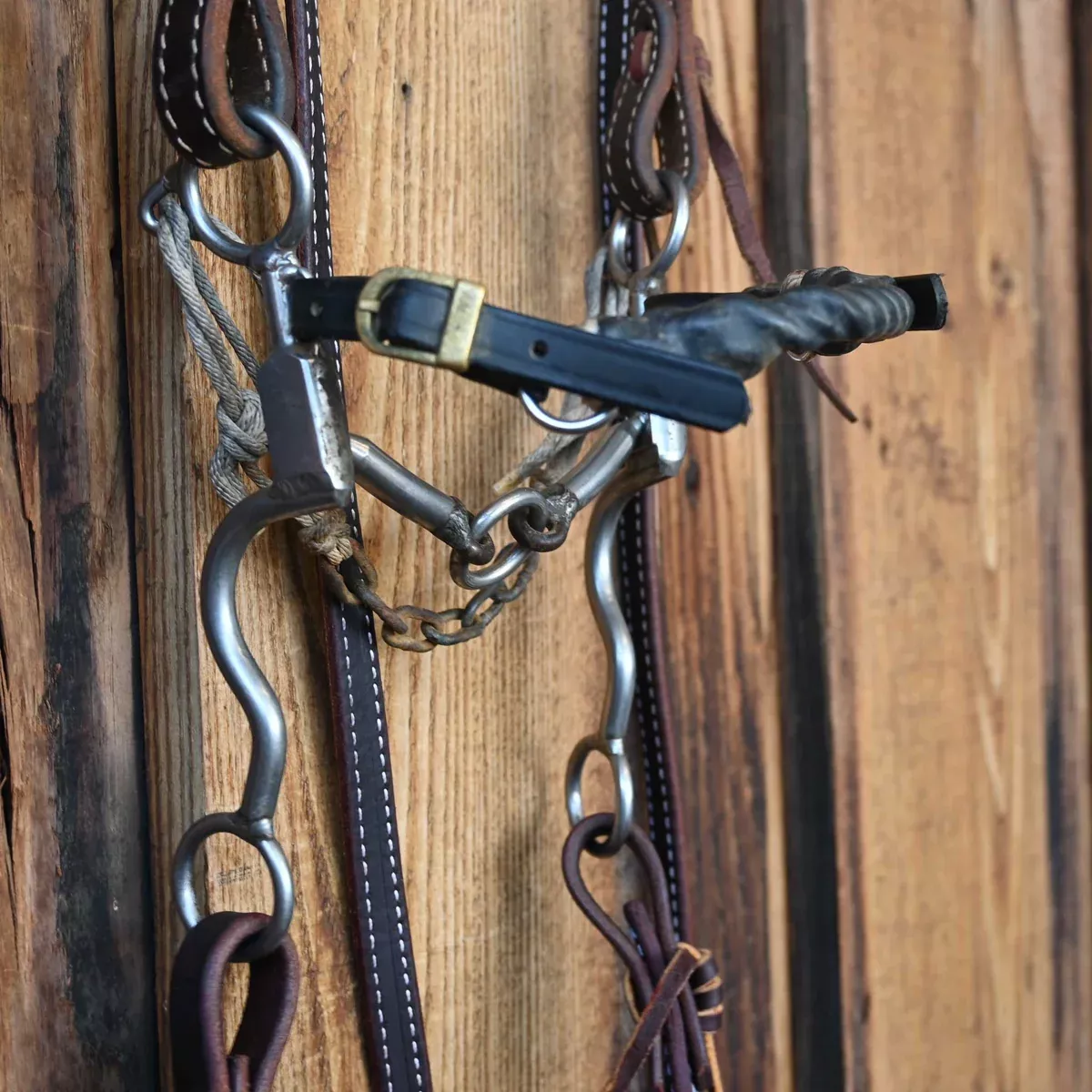 Perfect Bit Lifesaver Combo Bridle Rig w/Single Ear Headstall