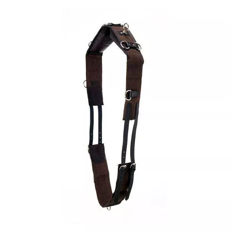 Performers 1st Choice Pro Web Training Surcingle