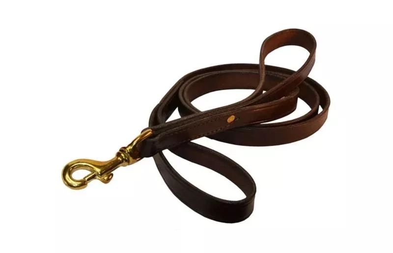 Perri's 3/4" Leather Dog Safety Leash - 5'