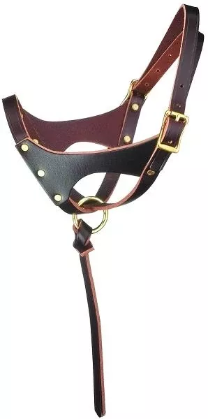 Perri's "Grow With Me" Leather Foal Halter