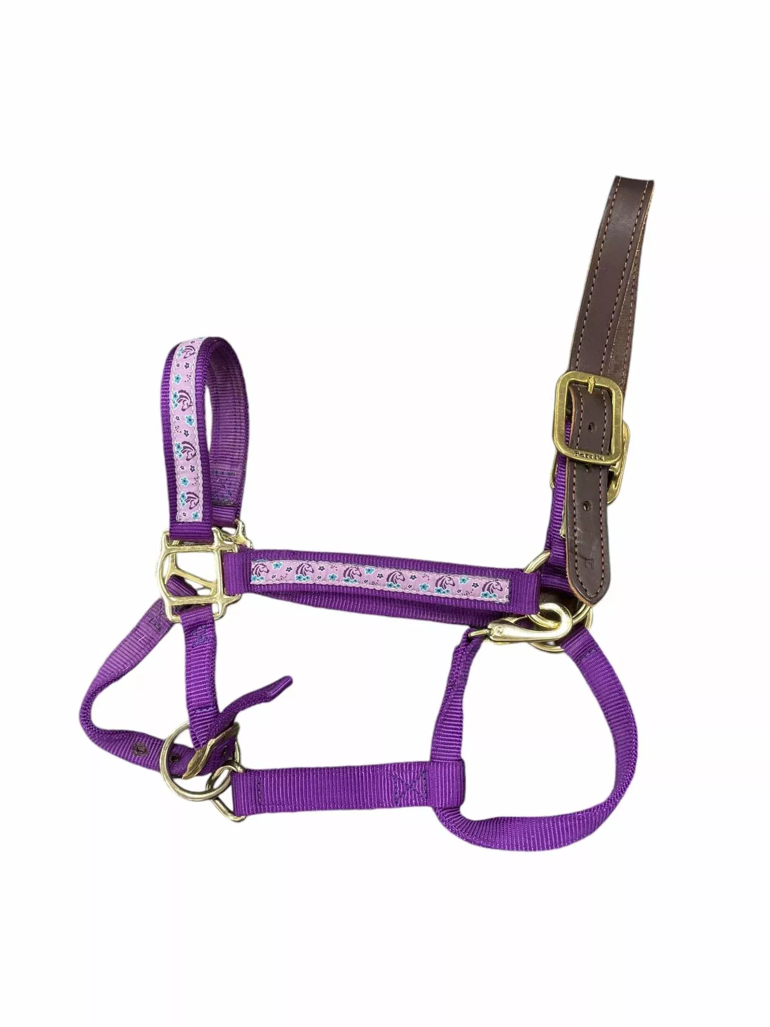 Perri's Nylon Halter - Purple - H/S - USED