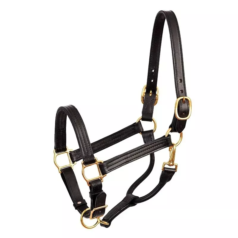 Perri's Premium 1" Leather Show Halter