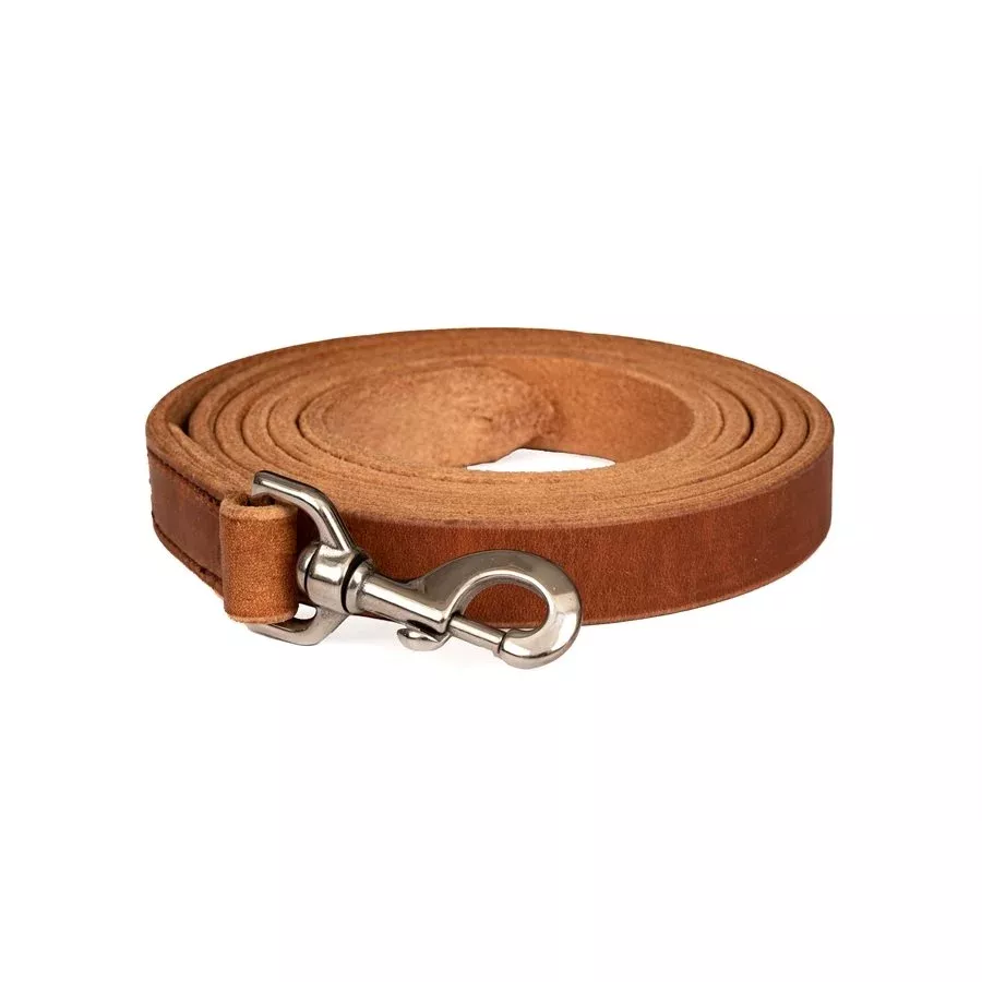Perri's Ranch Lead with Stainless Steel Snap