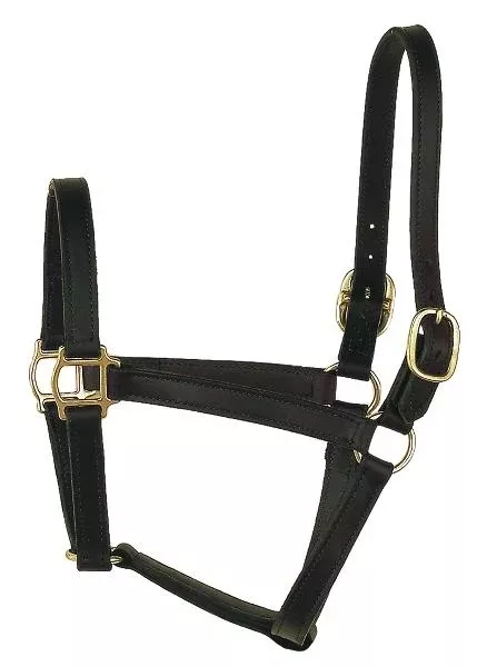 Perris Leather Collection Track Style Leather Turnout Halter