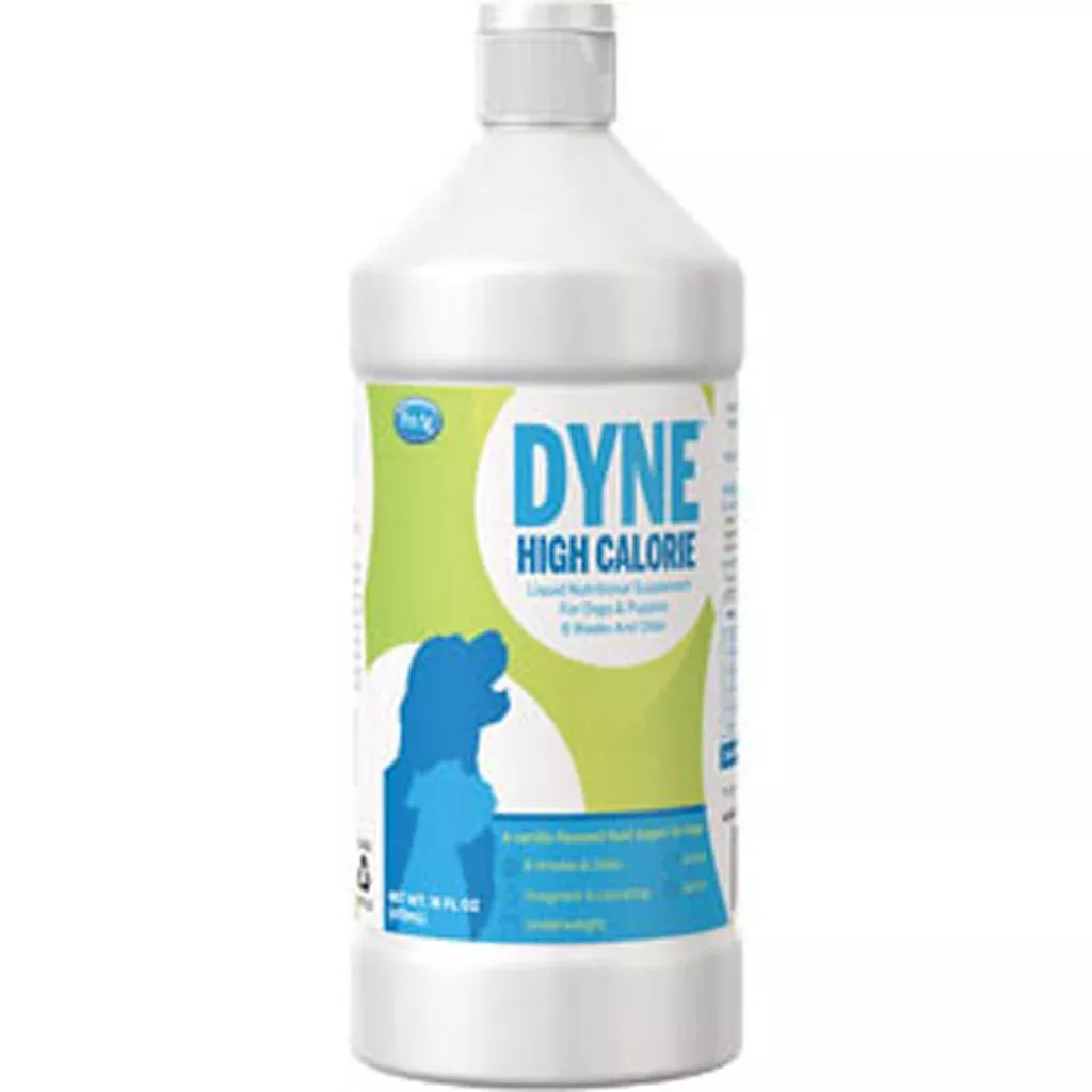 PetAg Dyne High Calorie Liquid Supplement for Dogs 16 oz