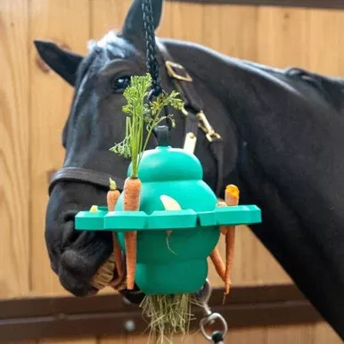 PetKORE™ Clover Ball for Equine