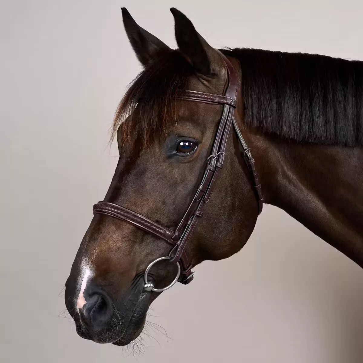 Plaited Noseband Bridle Without Flash NE