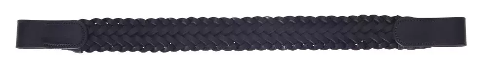 Platinum Plaited Browband