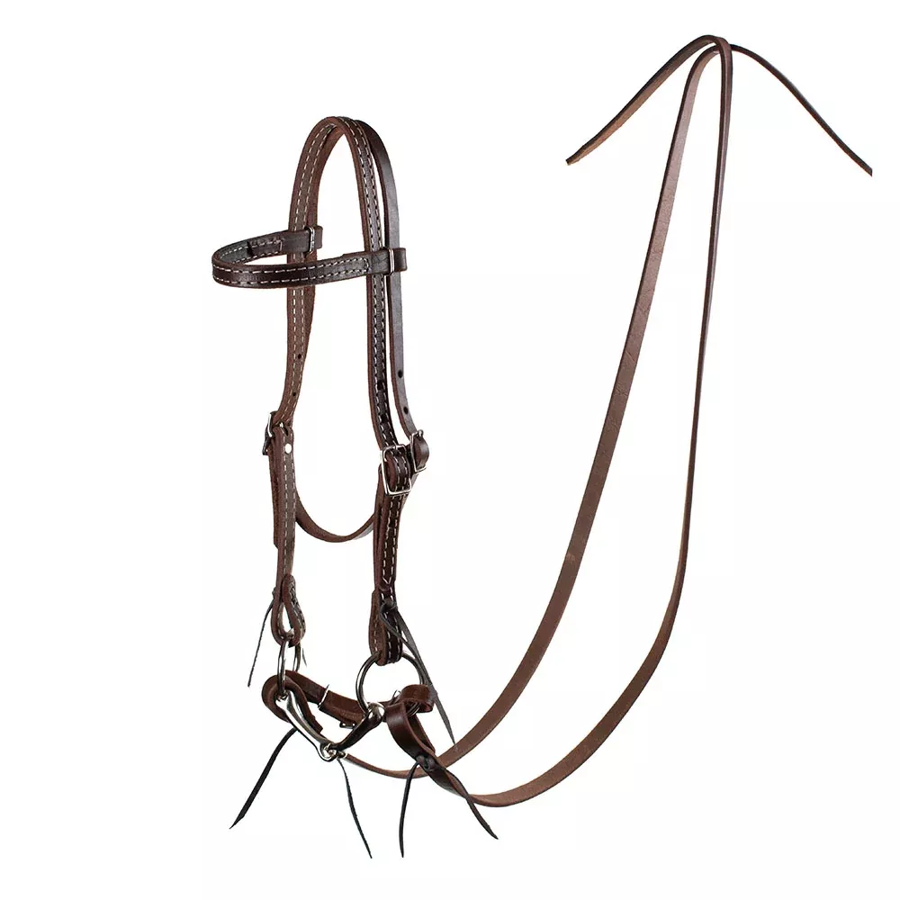 Pony Headstall with Bit Bridle Rig
