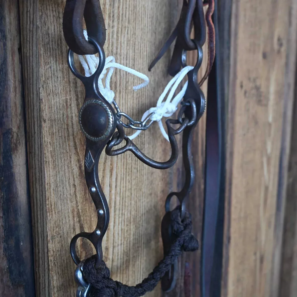 Ported Chain Bridle Rig w/Single Ear Headstall