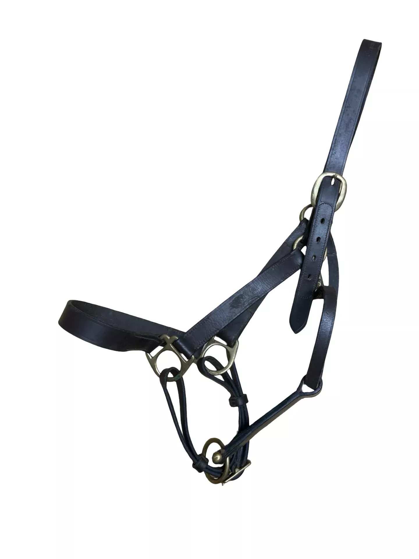 Premier Halter - Brown - Size Q - USED