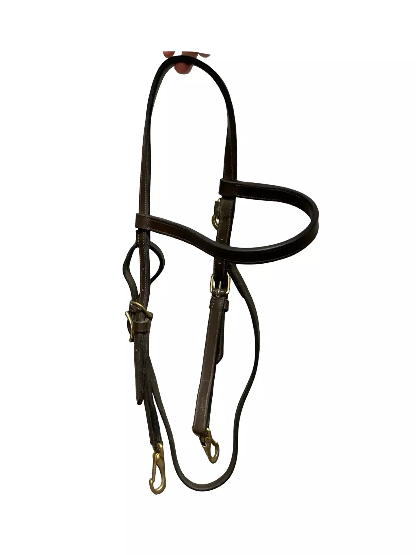 Premier Training Bridle - Brown - Est. F/S - USED