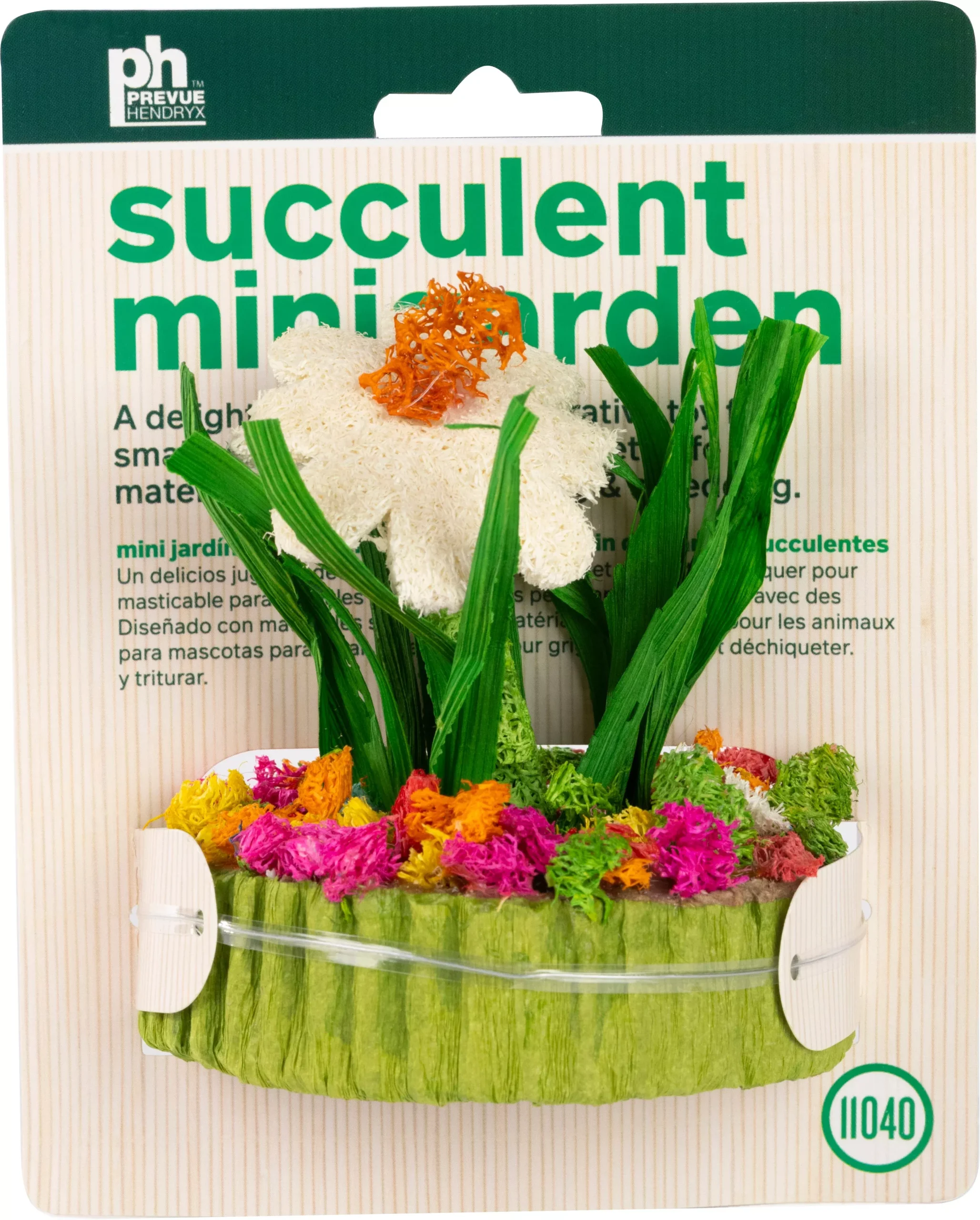 Prevue Succulent Mini Garden, 3.38 x 3.38 x 3.75 in