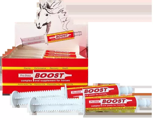 Pro-Dosa Boost Paste Syringe